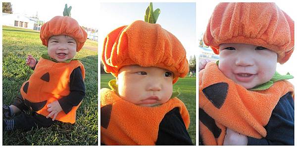 Baby Pumpkin (24)_1.jpg