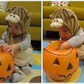 Miso's First Halloween (6)_1.jpg