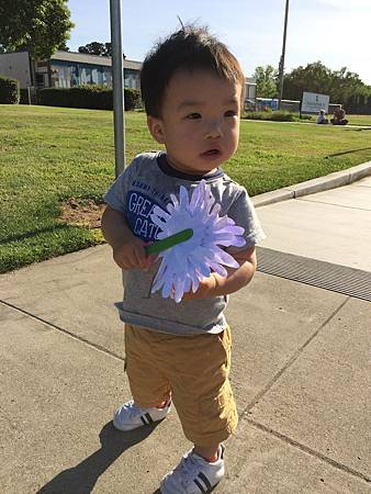 Mother's Day Gift & Cherry Picking at Backyard (1).jpg