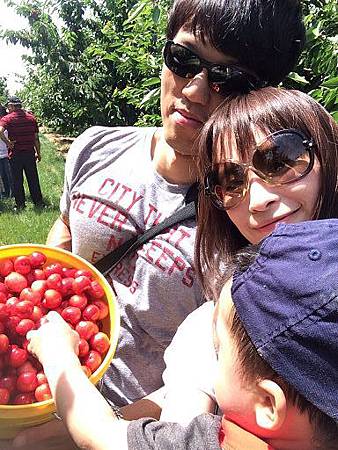 Nunn Better Farm Cherry Picking@Brentwood (12).jpg