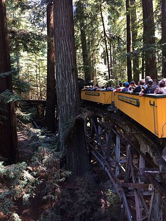 Roaring Camp Railroads & Santa Cruz (10).jpg