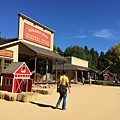 Roaring Camp Railroads & Santa Cruz (29).jpg