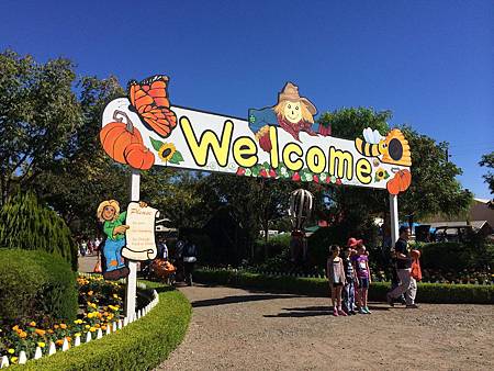 Uesugi Farms Pumpkin Park (1).jpg