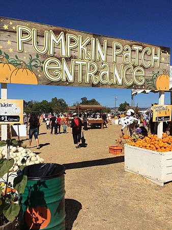 Uesugi Farms Pumpkin Park (2).jpg