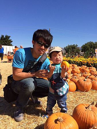 Uesugi Farms Pumpkin Park (8).jpg