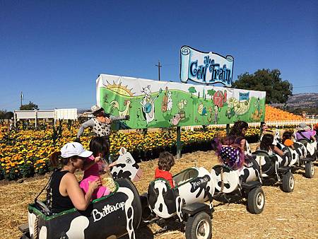 Uesugi Farms Pumpkin Park (15).jpg