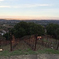 House Family Vineyard (8).jpg