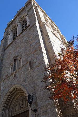 Day 3 -LA. Pasadena City Hall & All Saint Church (10).jpg