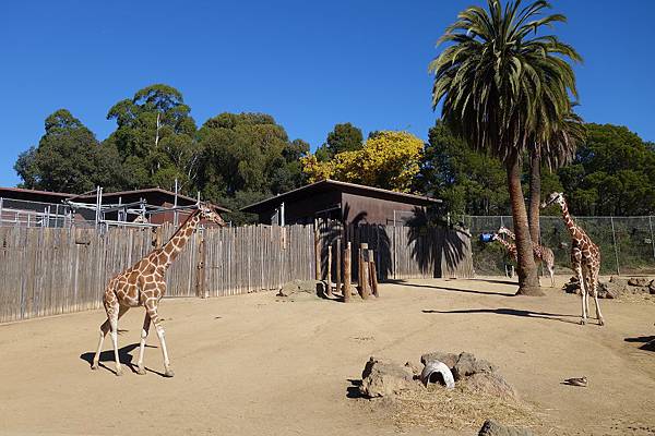 Oakland Zoo (19).jpg