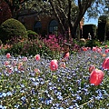 April at Filoli (17).jpg