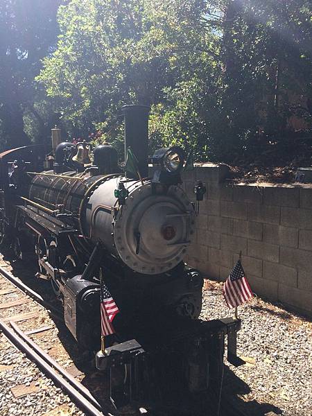 Billy Jones Wildcat Railroad &Bill Mason Carousel (5).jpg