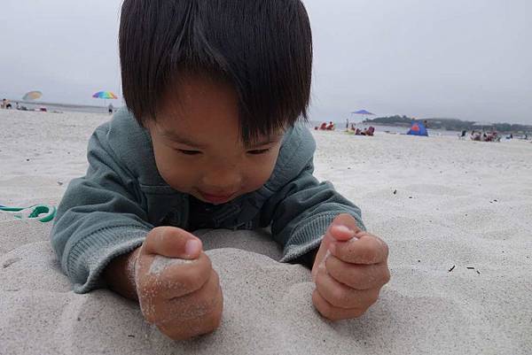 3. Carmel Beach (8).jpg