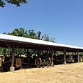 Ardenwood Historic Farm (4).jpg