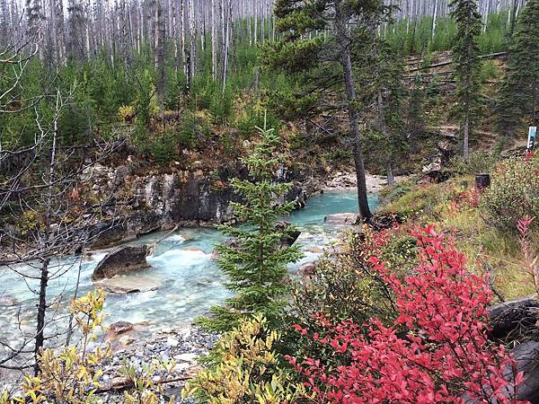 Banff Day 5 (50).jpg