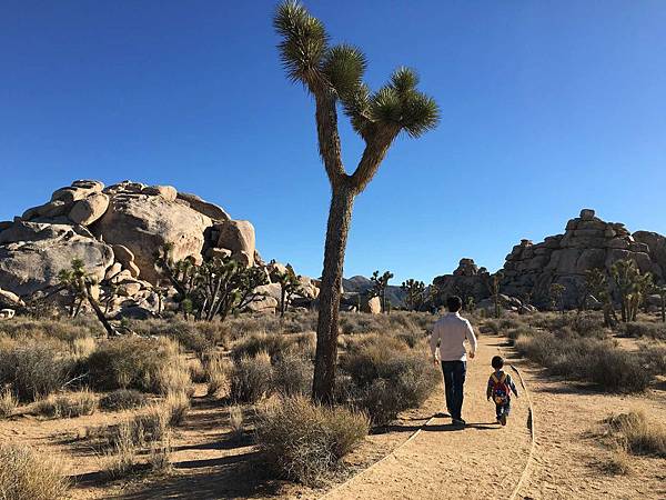 2. Joshua Tree National Park (25).jpg