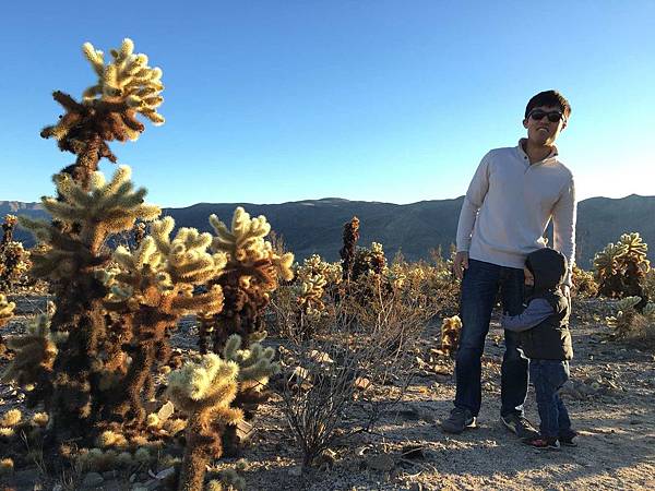 2. Joshua Tree National Park (54).jpg