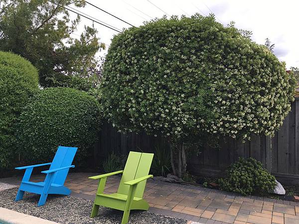 Spring Flowers (1).jpg