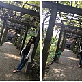 Hakone Garden & Wildwood Park (10)_1.jpg