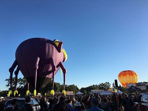 Sonoma County Hot Air Balloon Classic (10).jpg