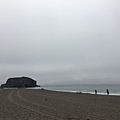 2. Goat Rock Beach (4).jpg