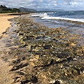 Day 1_Kauai Beach Resort (15).jpg