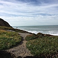 Pacifica Day Trip (27).jpg