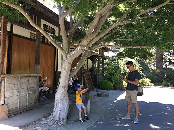 San Mateo Japanese Garden (10).jpg