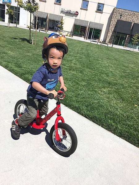 Miso 4Y1M - 4Y4M (14).jpg Miso 4Y1M - 4Y4M (14).jpg