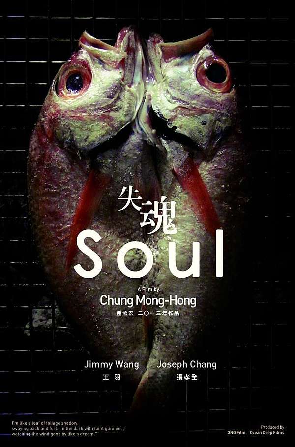 影評 失魂 Soul 漂泊的靈魂 Littledidi亂靠北 痞客邦