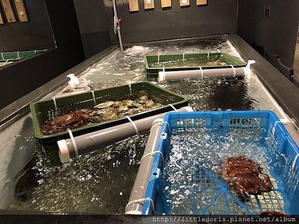 漉-海鮮蒸氣鍋(汐止店)(1070714)