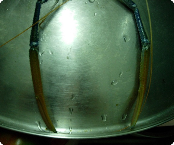 DSCN6310 DSCN6310