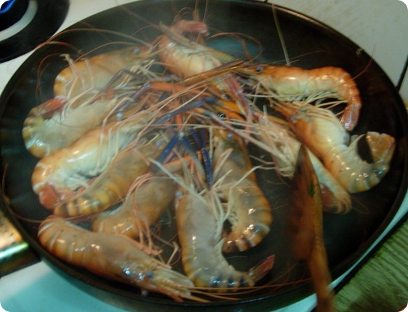 DSCN6318 DSCN6318