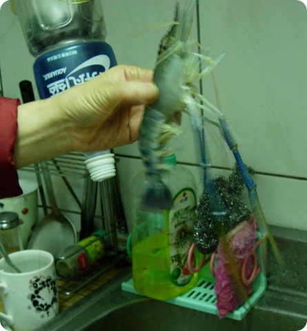 DSCN6303 DSCN6303