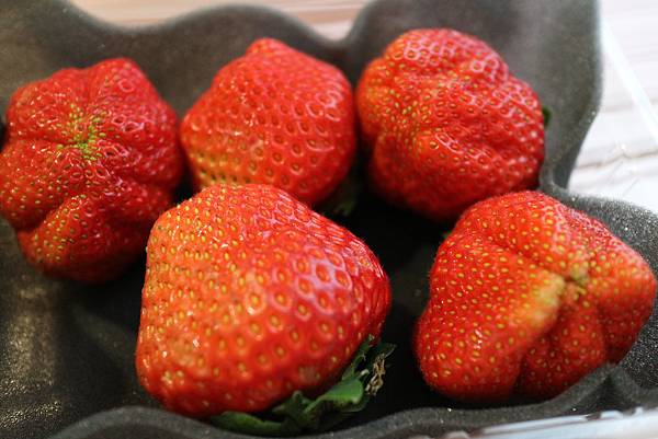 北海道草莓.jpg