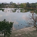 八德埤塘生態公園2016