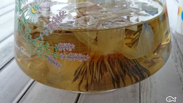 蓮城蓮花茶花蓮30.jpg 蓮城蓮花茶花蓮30.jpg