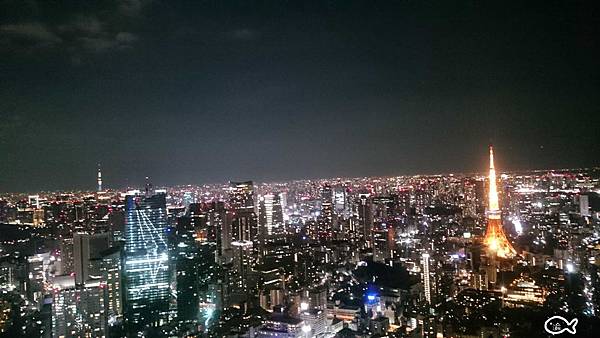 東京六本木夜景51.jpg