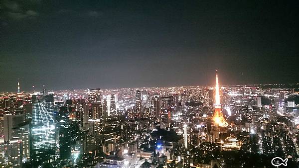 東京六本木夜景52.jpg