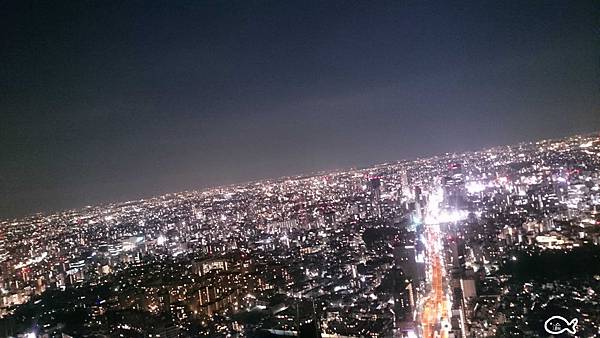 東京六本木夜景65.jpg