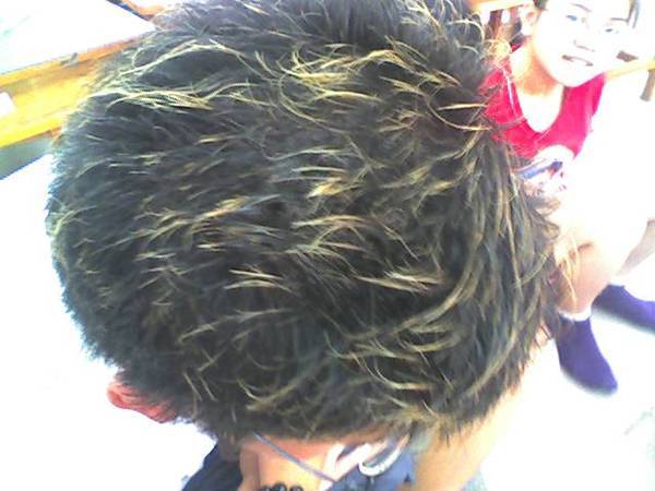 我的頭髮.JPG