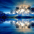 image003.gif