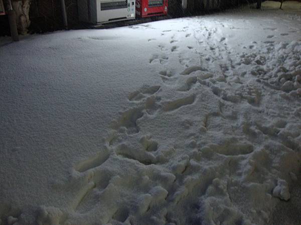 【北海道自由行】登別交通-大雪2.JPG