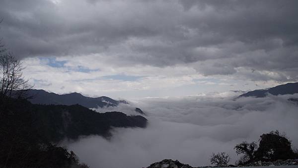 雲海