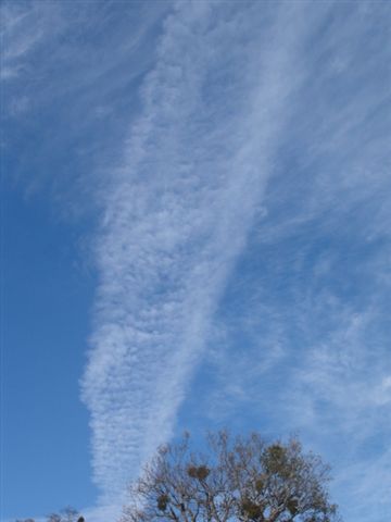 1136741644.jpg