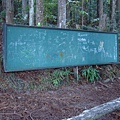 森林小學
