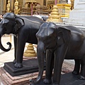 泰國的神聖象徵-象