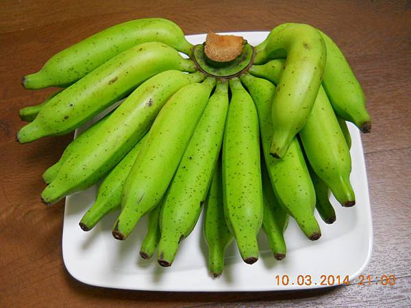 DSCN0336 DSCN0336