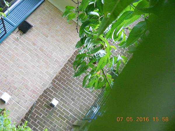 DSCN7220 DSCN7220
