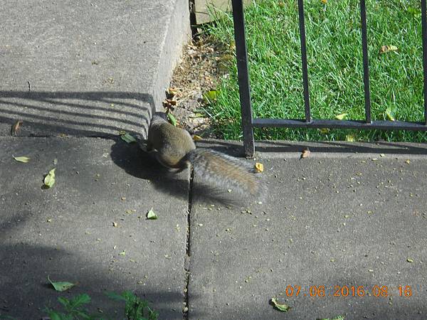 DSCN7239 DSCN7239