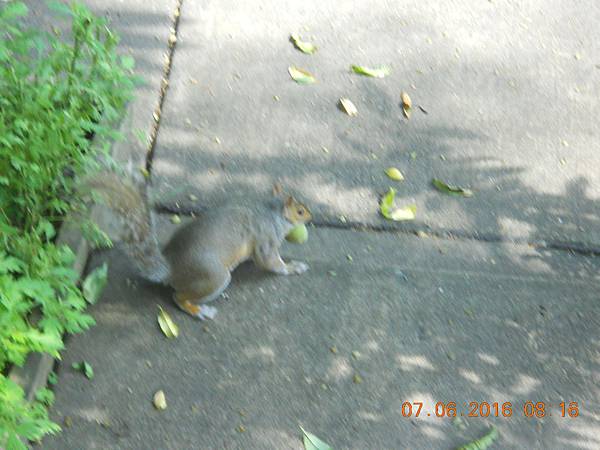 DSCN7238 DSCN7238